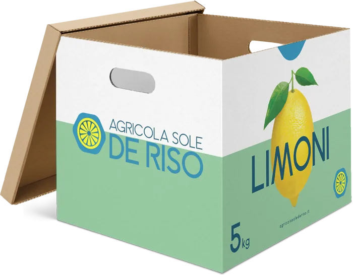 Cassa da 5 kg di limoni Agricola Sole De Riso