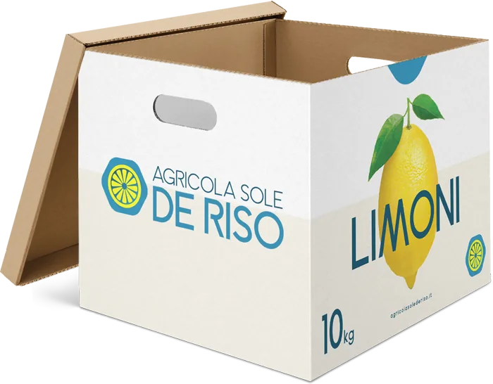 Cassa da 10 kg di limoni Agricola Sole De Riso