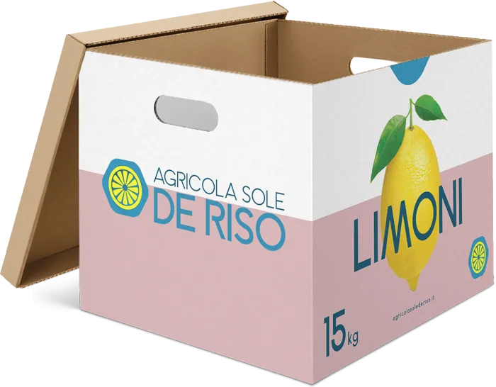 Cassa da 15 kg di limoni Agricola Sole De Riso